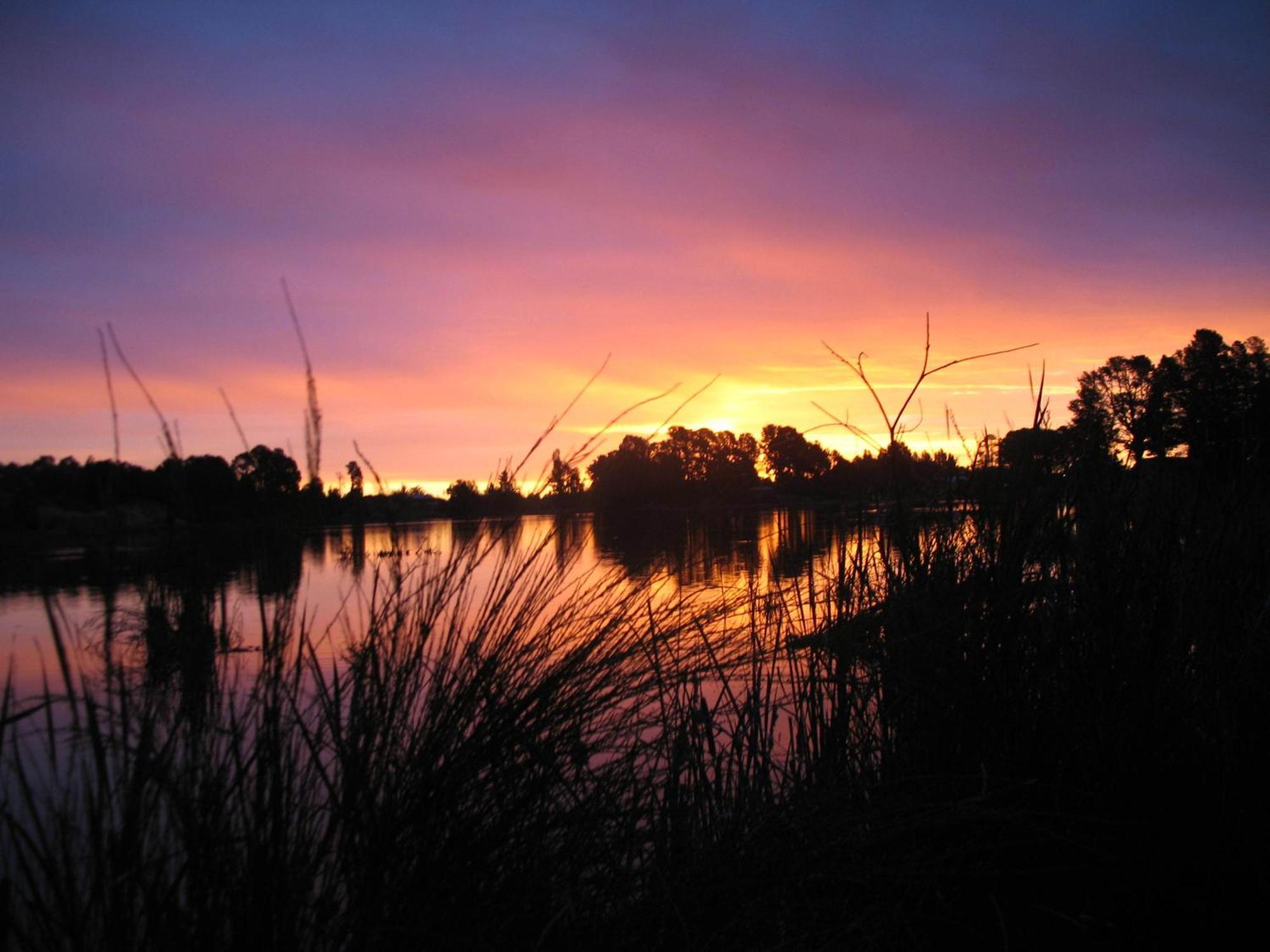 Beechworth Lake Sambell Caravan Park Ngoại thất bức ảnh