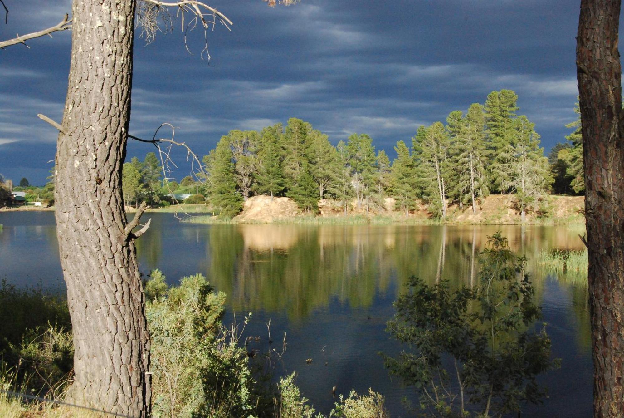 Beechworth Lake Sambell Caravan Park Ngoại thất bức ảnh