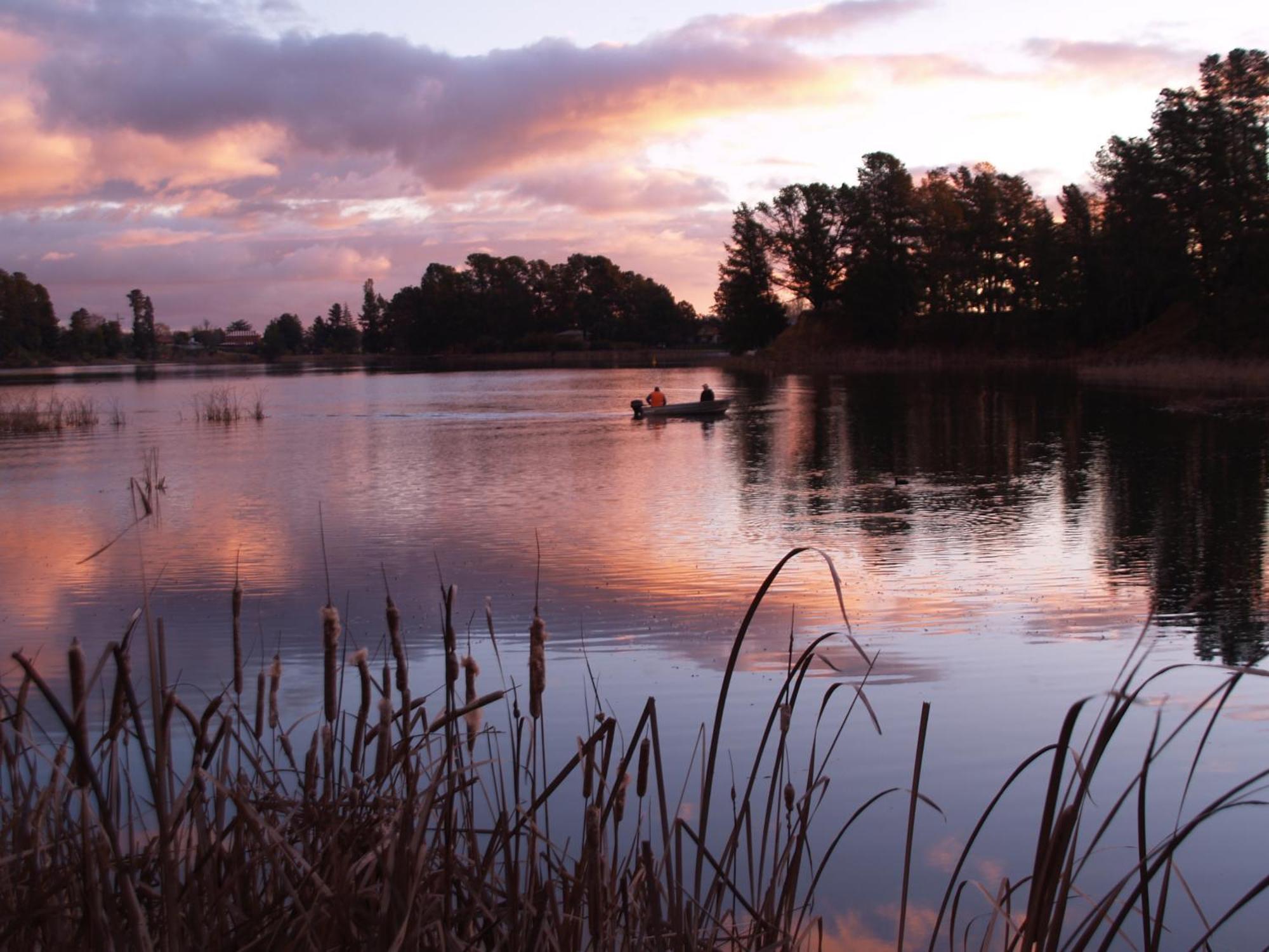 Beechworth Lake Sambell Caravan Park Ngoại thất bức ảnh